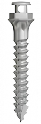 Ортодонтические имплантаты SD-Mini-Ortho NH D-1.8mm, L-10mm