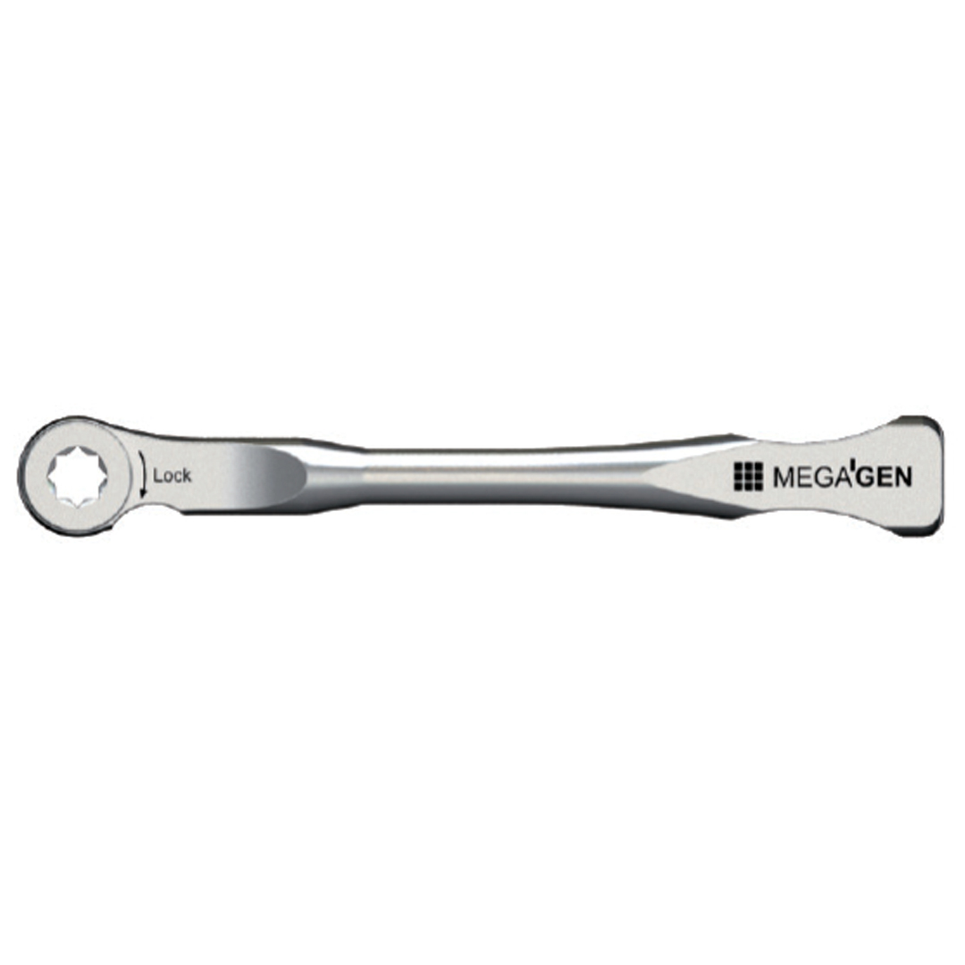 Храповый ключ AnyRidge mrw040s