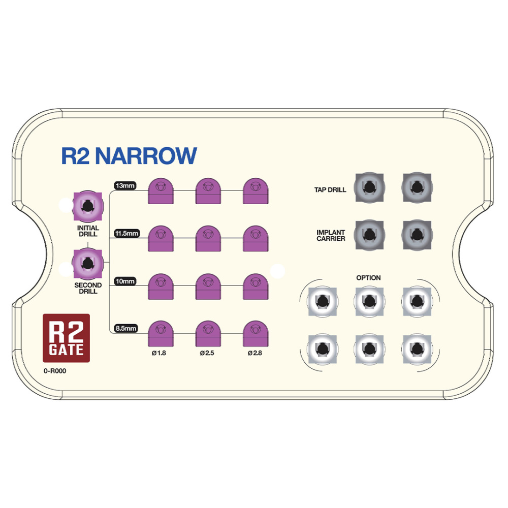Набор R2Gate mini