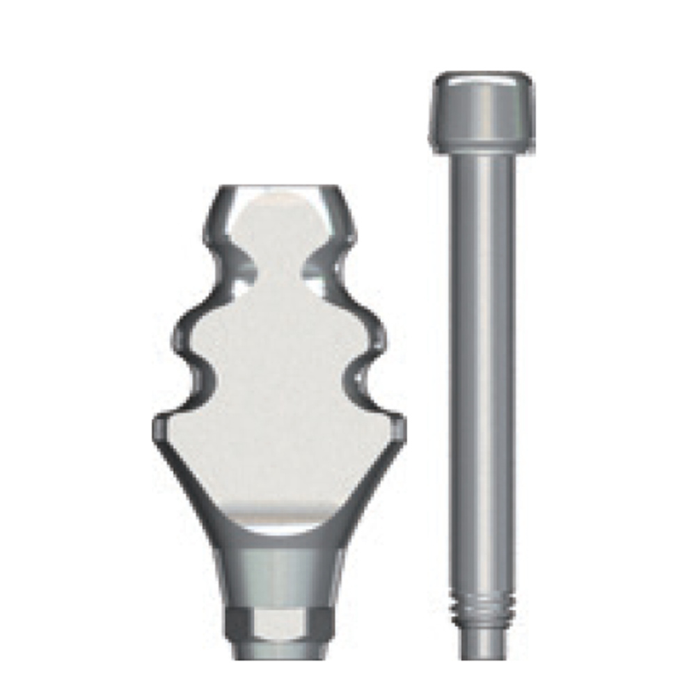 Трансфер слепочный для закрытой ложки d 6,5 h12 mm 2-компонентный 12 шестигранник AnyOne it6512hht