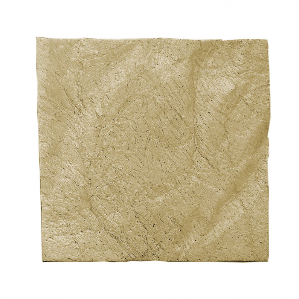 Лиопласт: полоска твердая мозговая оболочка, 1.5х1.5 см